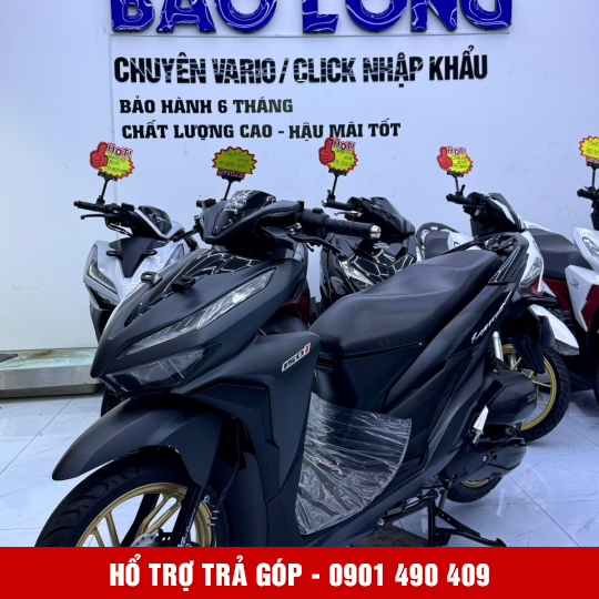 Vario 150 59PA-18621 