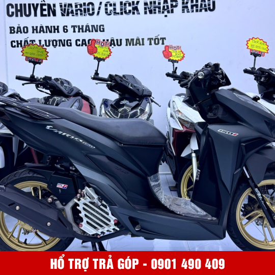 Vario 150 59PA-18621 