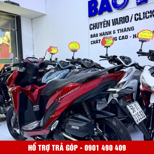 Vario 150 50Y1-33592