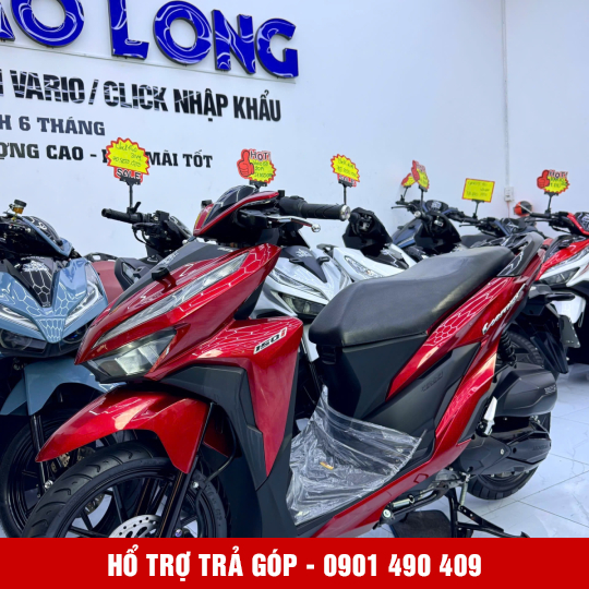 Vario 150 50Y1-33592