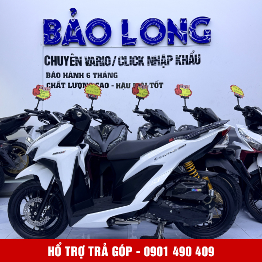 Vario 150 59ZA-09029