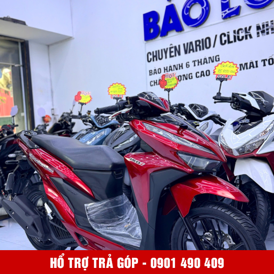 Vario 150 59T2-25981