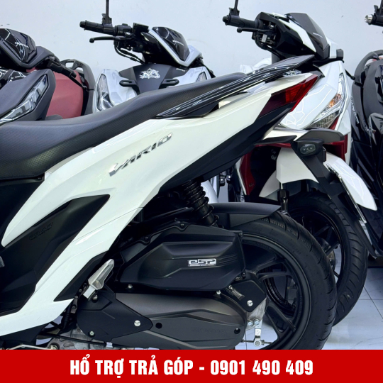 Vario 150 59U2-23808