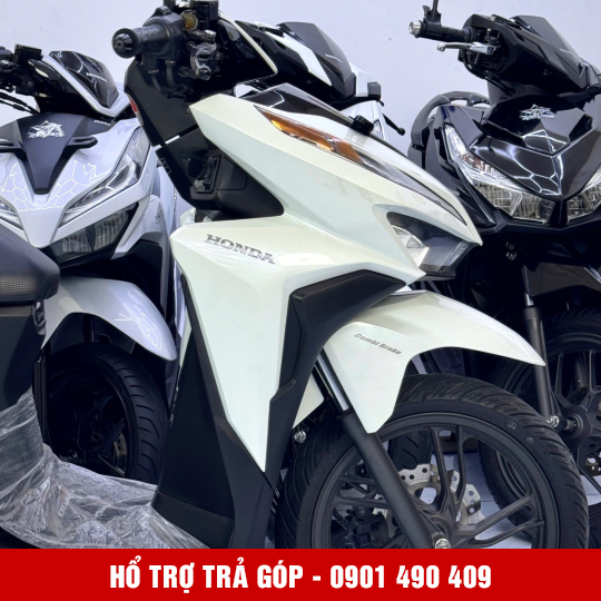 Vario 150 59L2-74376